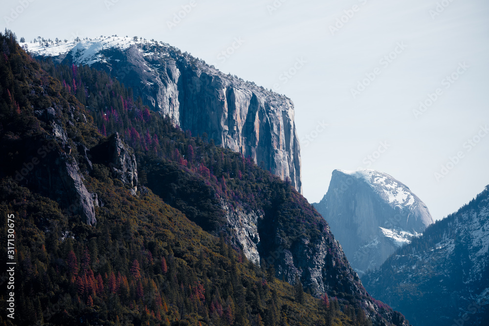 Yosemite National Park Picturesque Postcard 