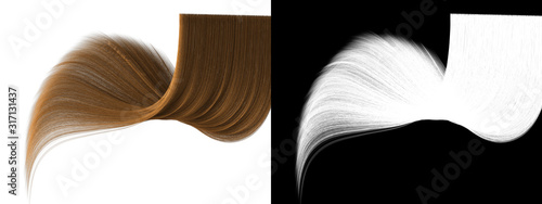 Photography Bronde Natural Hair Isolated Texture - Perfect Blowing Long Curls with Alpha Cha