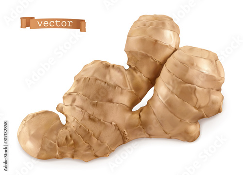 Ginger root. 3d realistic vector