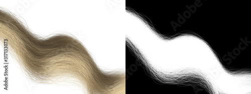 Canvas Print Blond Wavy Hair Extension Isolated Pattern - Fair Strand of Hair with Alpha Chan