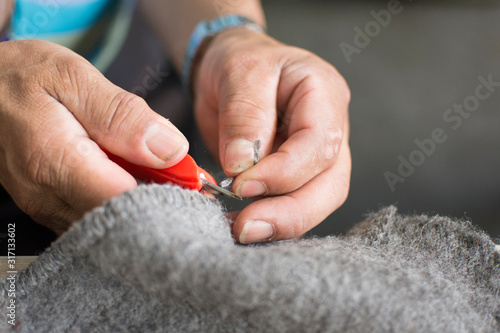  Weaving Working Hands of Colombia