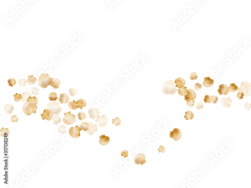 Gold seashells isolated, pearl bivalved mollusks