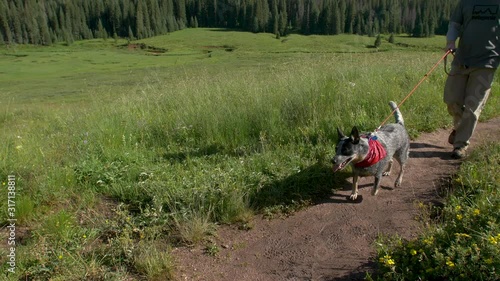 Young Couple Hike Colorado Mountain Trail with Dog on Leash