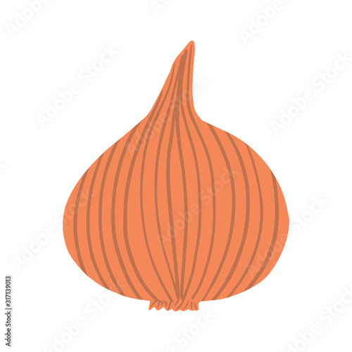 Onion in hand drawn style isolated on white background. doodle onion bulb vegetable.