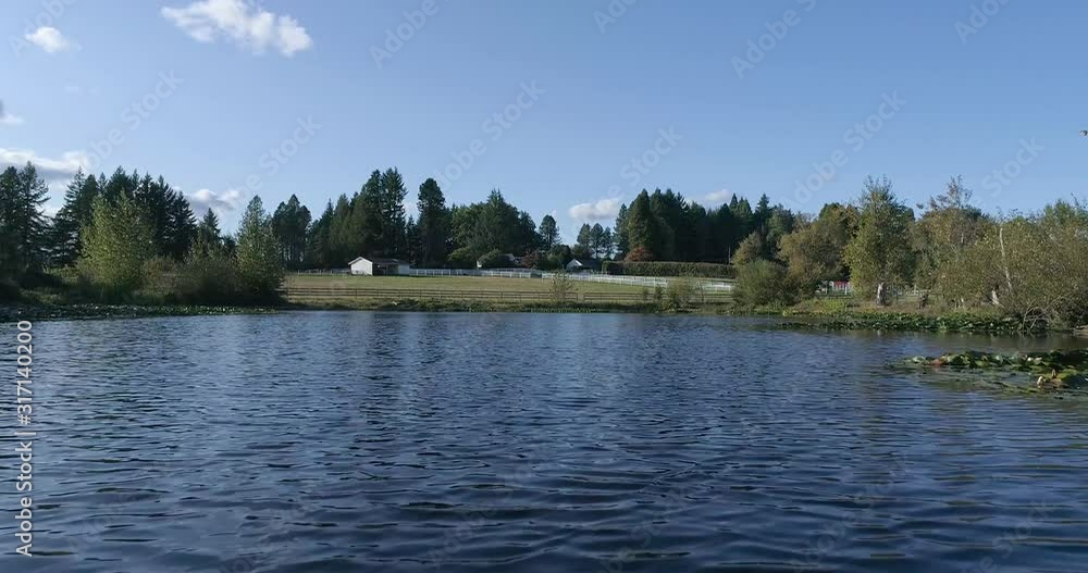 Beautiful Blue Pond with Lilly Pads on a Country Farm Beautiful Blue Pond with Lilly Pads on a Country Farm