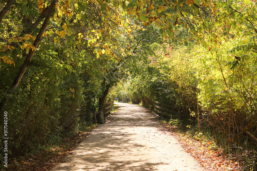 Shadowy Fall Path Shadowy Fall Path