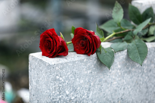 Red roses on light grey tombstone outdoors. Funeral ceremony