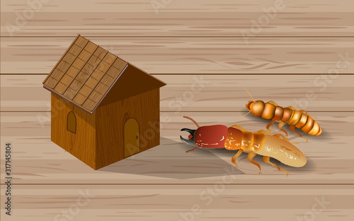 Termites and wooden houses	