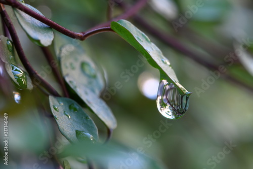 水滴