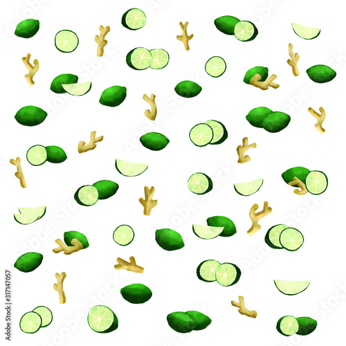 Lime and ginger watercolor vector illustrations