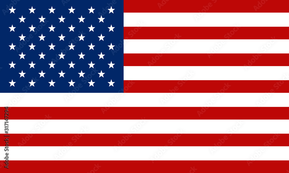 Naklejka premium American flag design. vector illustration
