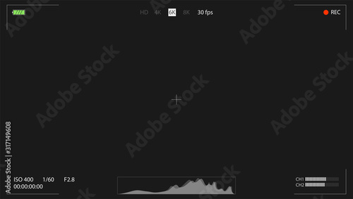 Digital camera viewfinder. Video screen of DSLR camera. Frame interface with point of focus, battery indicator, histogram and rec status. Digital recorder display. Vector Illustration, EPS10