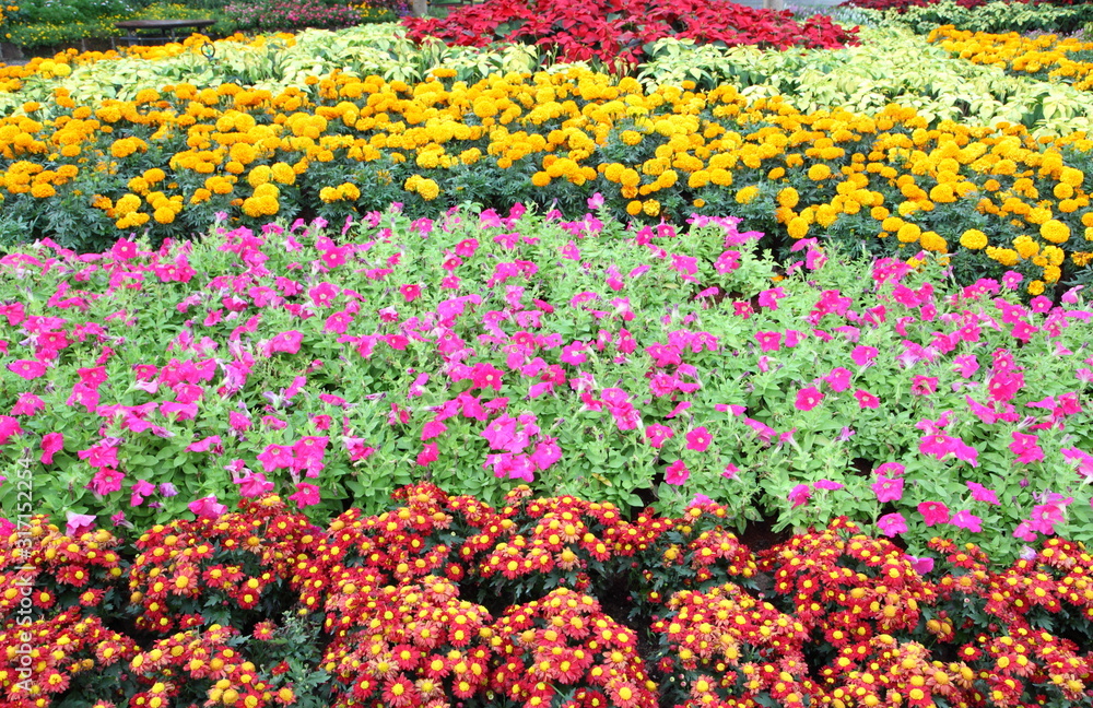 Landscaped flower garden 