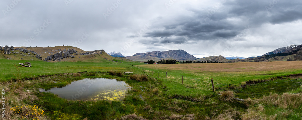 Obraz premium Grassy Lake