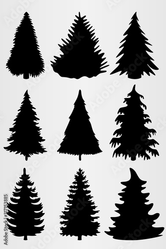 Set of nine conifers. Set for the design of various works, brochures, posters, etc.