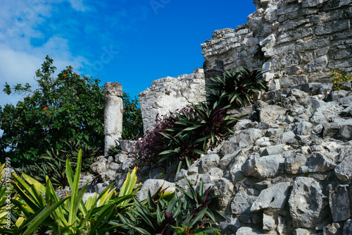 Tulum Ruins and Greenery