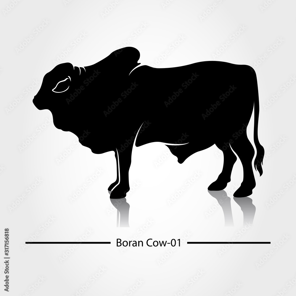 Obraz premium Boran Cow Silhouette Vector Template. This silhouette suitable for icon, symbol, businesses, product pic, restaurants serving beef dishes, or can also be used for cow farming business.