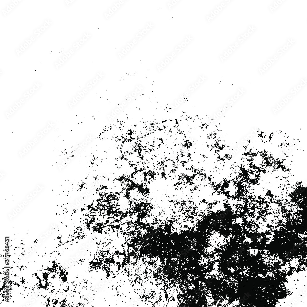 Fototapeta premium Vector grunge texture. Black and white abstract background. Eps10