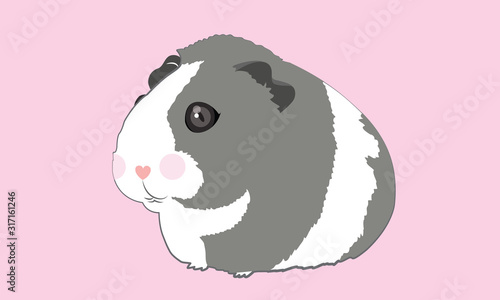 Guinea pig cute style artoon vector