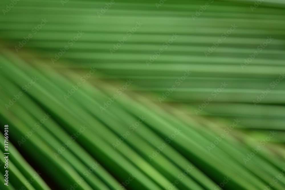 Green color natural abstract Green color natural abstract