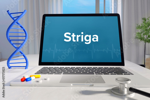 Striga – Medicine/health. Computer in the office with term on the screen. Science/healthcare photo