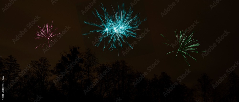 Colorful fireworks over the forest.