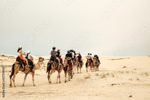 Tourist caravan on a camel were going through Sand Dunes in Port Stephen of New South Wales, Australia photo