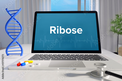 Ribose – Medicine/health. Computer in the office with term on the screen. Science/healthcare photo