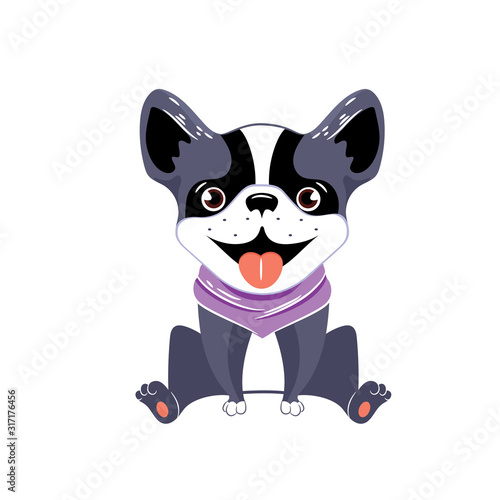 A vector image of a boston terrier. Children s illustration