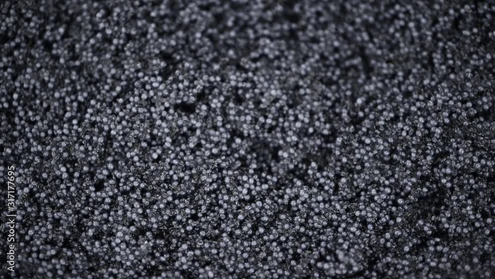 Seamless loopable rotating black Caviar (close-up) Seamless loopable rotating black Caviar (close-up)