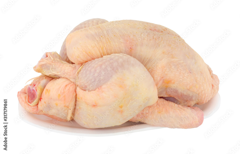 Fresh raw poussin chicken sometimes called spring chicken isolated on a white background Fresh raw poussin chicken sometimes called spring chicken isolated on a white background