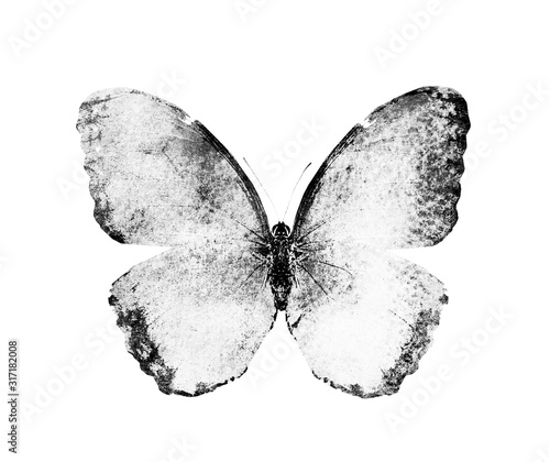 Aquarel vlinder, geïsoleerd op een witte achtergrond. Zwart en wit