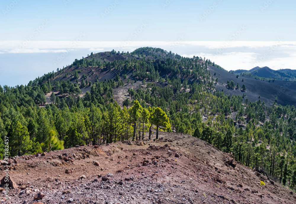 Beautiful volcanic landscape with lush green pine trees and colorful volcanoes along the path Ruta de los Volcanes, beautiful hiking trail at La Palma island, Canary Islands, Spain, Blue sky