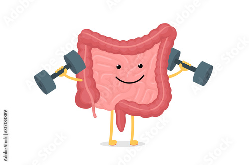 Cute cartoon healthy intestines character with dumbbells. Abdominal cavity digestive and excretion human internal organ. Small and colon intestine with duodenum rectum and appendix vector illustration photo