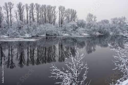 unfrozen river surrounded by snowy trees