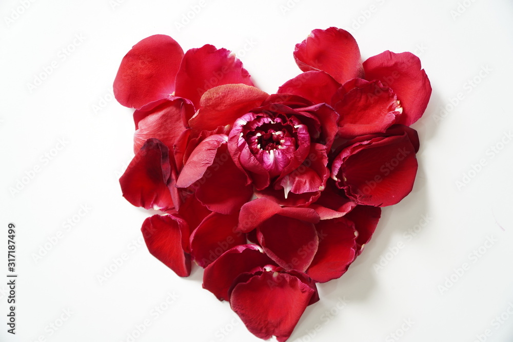 Rose petals arranged in a heart shape on a white background Rose petals arranged in a heart shape on a white background
