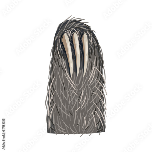 Animal Paw Isolated on White Background Vector Element. Pad with Sharp Claws