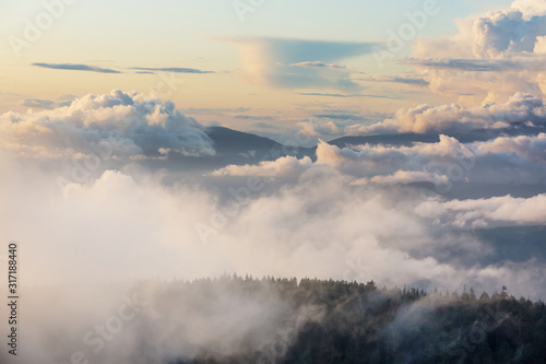 Fog in mountains © Galyna Andrushko