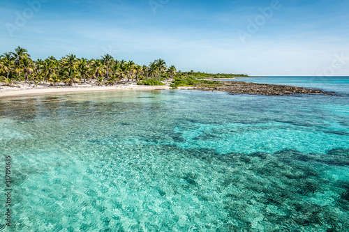 Fototapeta Naklejka Na Ścianę i Meble -  Tropical beach with palm trees and turquoise water at the port of Costa Maya, Mexico.