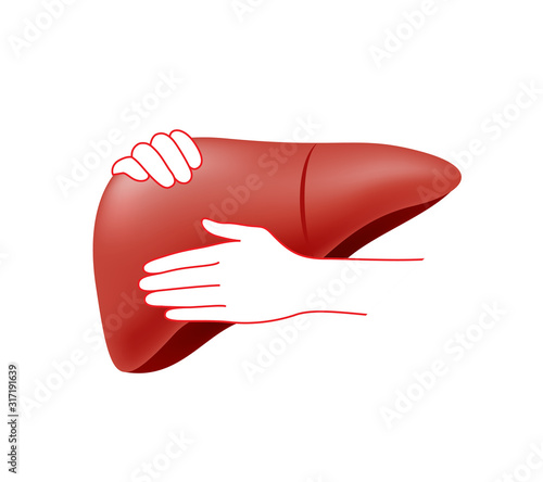 Hands embrace human liver. Health care concept. Icon design. Illustration isolated on white background.