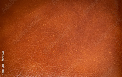 Old Brown Leather Texture Background, Natural Aged Skin