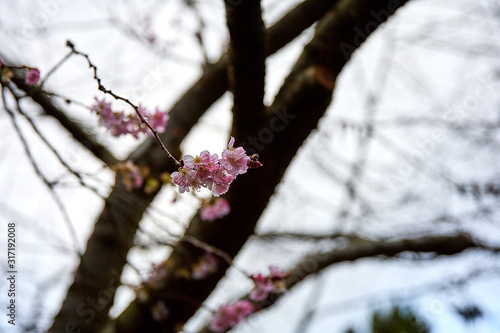 Photography Copenhagen winter