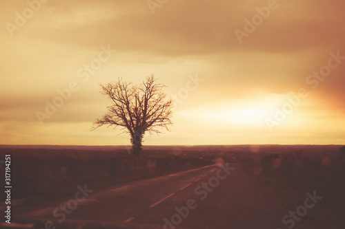 Country road in the early autumn morning. Silhouette of trees against a dramatic sky. View through the wet windscreen
