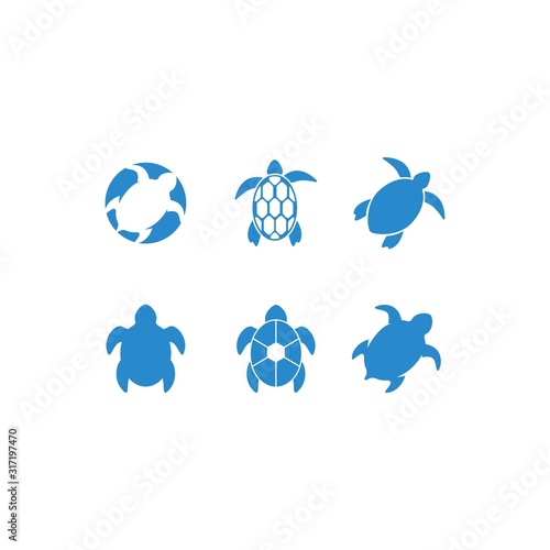 Turtle logo vector