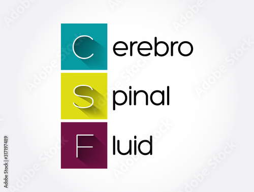 CSF - cerebrospinal fluid acronym, medical concept background