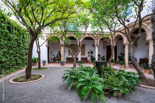 Courtyard garden of Viana Palace in Cordoba, Andalusia, Spain. Fototapet