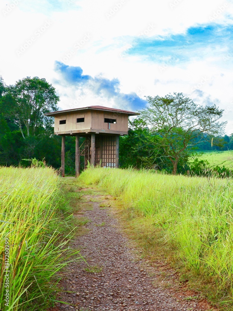 Wildlife observation tower in Khao yai national park, Thailand Wildlife observation tower in Khao yai national park, Thailand