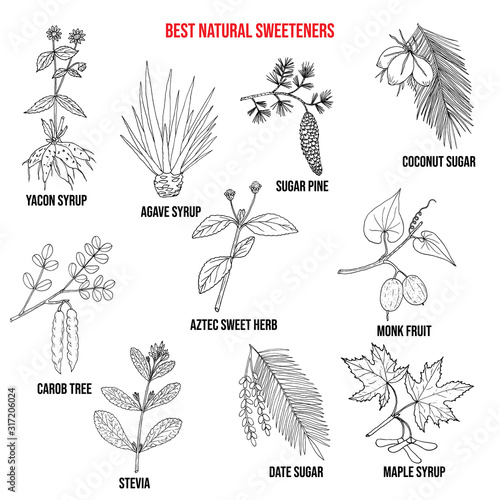 Best natural sweeteners photo