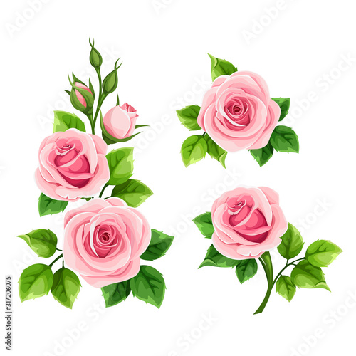 Vector set of pink roses isolated on a white background.