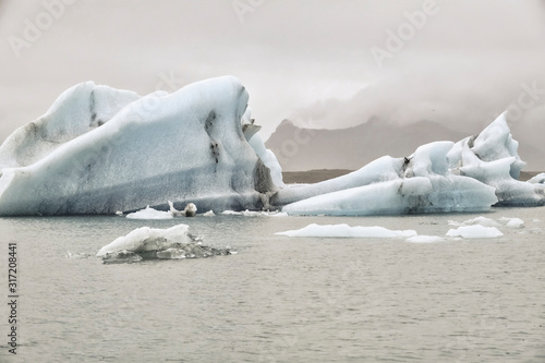 Black and white image of Icebergs at Jokulsarlon glacier